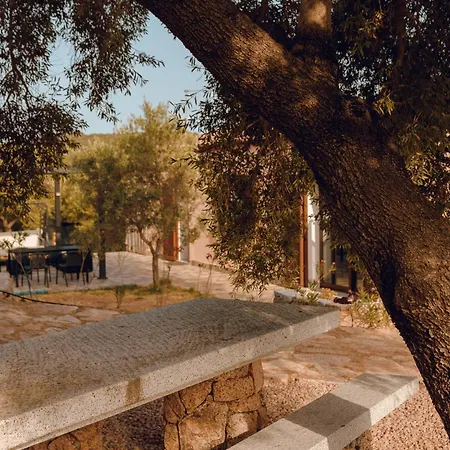 Privacy In Gallura, Degli Ulivi Villa