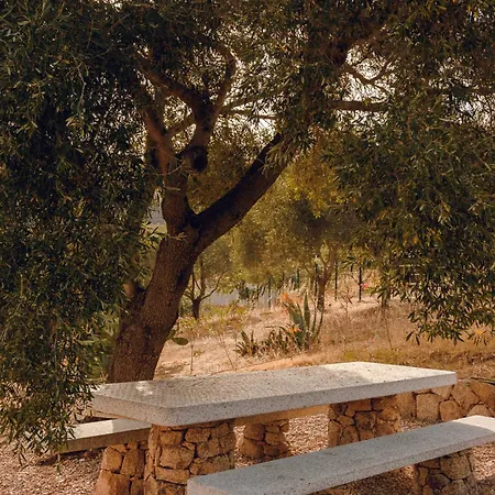 Privacy In Gallura, Degli Ulivi Sole Ruiu