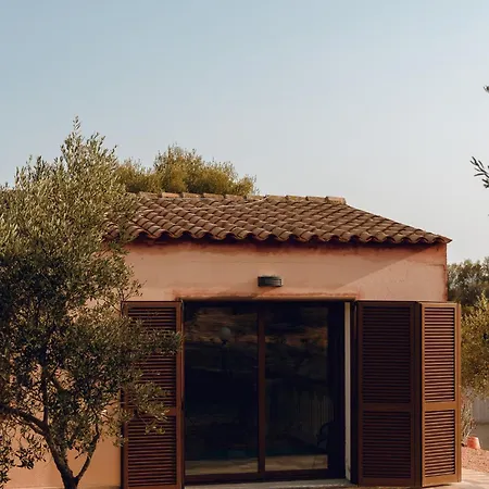 Privacy In Gallura, Degli Ulivi Sole Ruiu