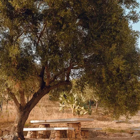 Villa Privacy In Gallura, Degli Ulivi *